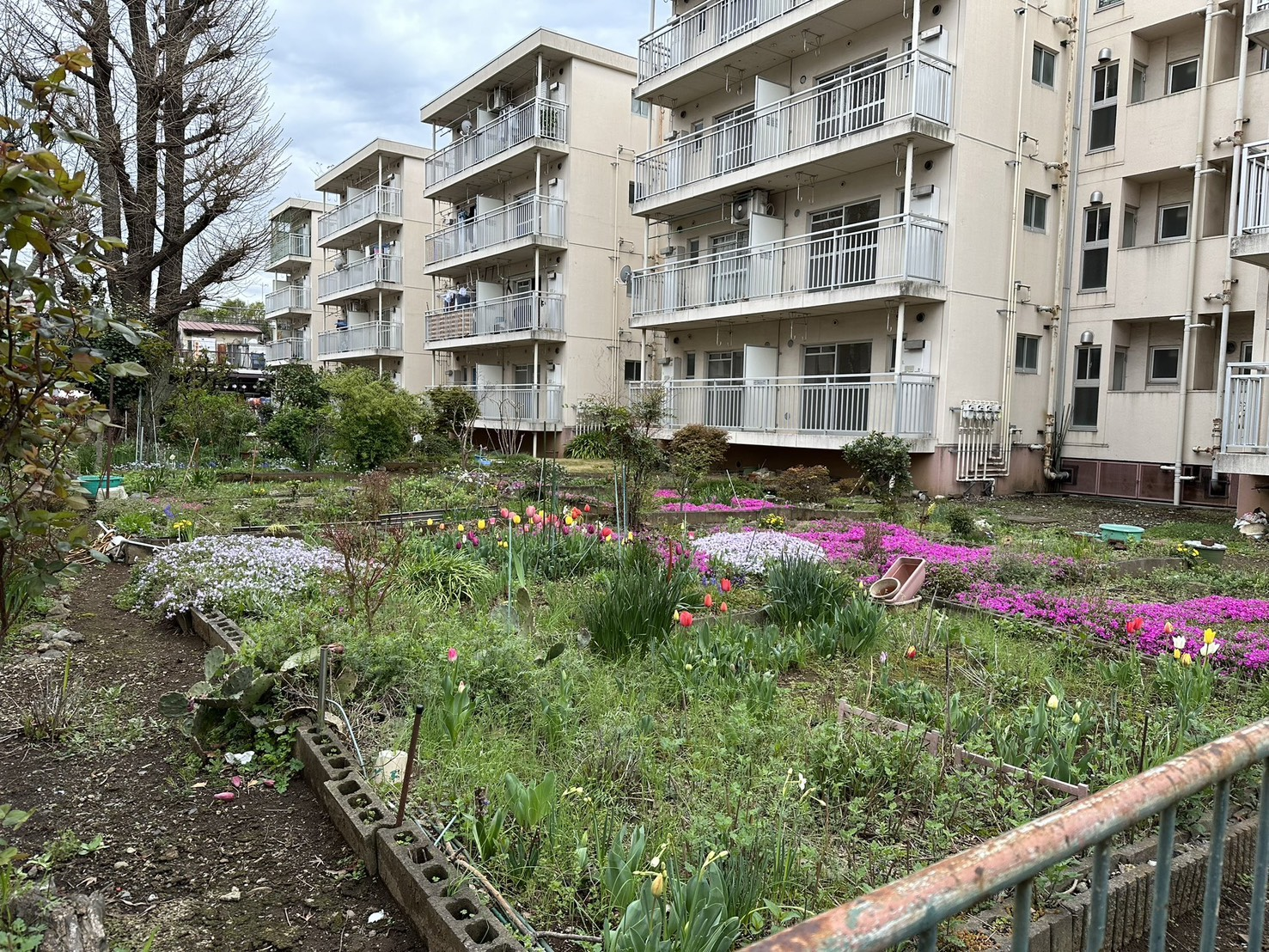 都営住宅の共有部分禁煙化